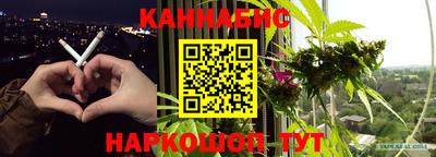 эйфоретик Малгобек